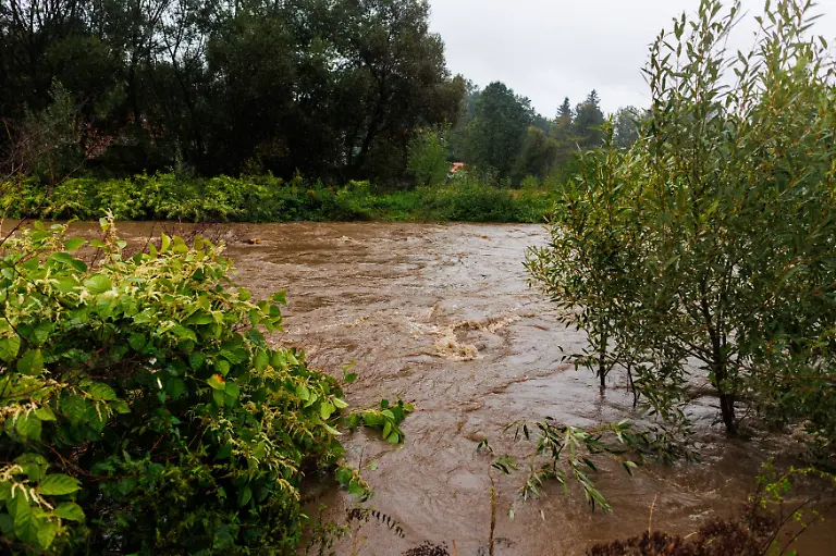 e668503753e83cecd63aa117a276a293