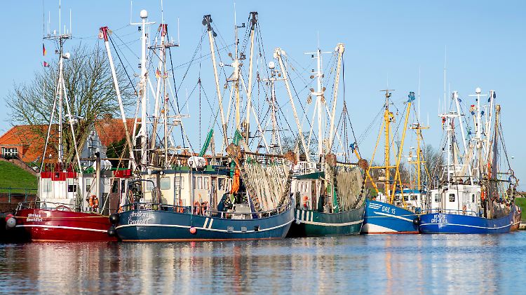 Die Krabbenfischerei an der Nordseeküste steckt in einer strukturellen Krise.. Geldgeber zu finden, ist schwierig.