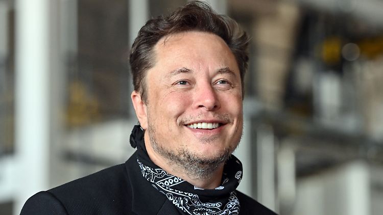 Elon Musk "fachsimpelt" gerne mit Brandenburgs Wirtschaftsminister Steinbach. Das kommt bei dem SPD-Politiker gut an.