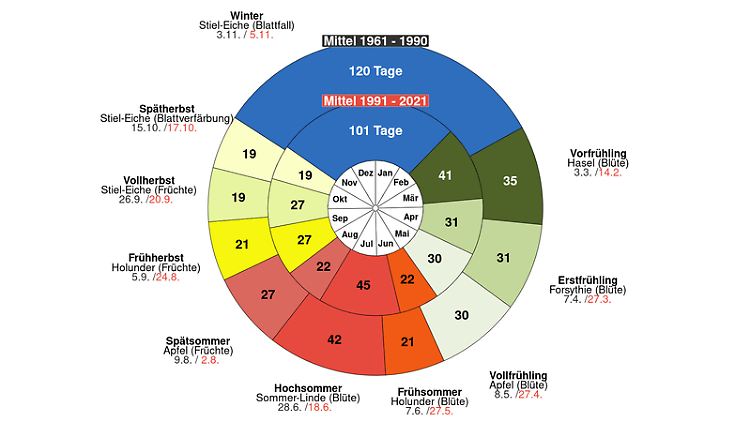 Was blüht wann? Phänologische Jahreszeiten in Deutschland im Vergleich der Zeiträume 1961 bis 1990 und 1991 bis 2021.