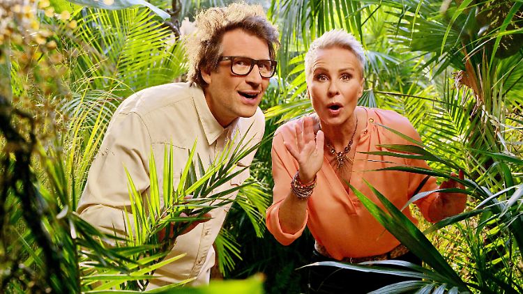 Ende eines Traumpaars: Daniel Hartwich und Sonja Zietlow werden das Dschungelcamp nicht mehr gemeinsam moderieren.