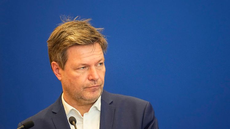 "Hier spricht die Marktwirtschaft", sagte Habeck zu den Plänen, die er bis spätestens zum Sommer vorstellen will.