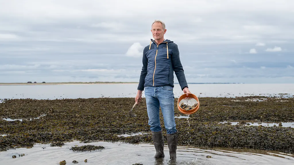 20240528-Sylt-EstherHorvath-002