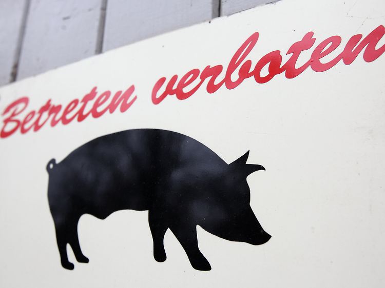 Stehen Erzeuger und Verbraucher ebenso in der Verantwortung?