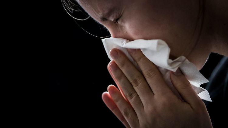 Insgesamt sechs Coronaviren können Menschen bisher infizieren - darunter auch harmlosere, weit verbreitete Erkältungsviren.