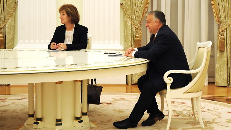 Sechs Tage vor Macrons Besuch sprach Putin mit Ungarns Premier Orban am gleichen Tisch.