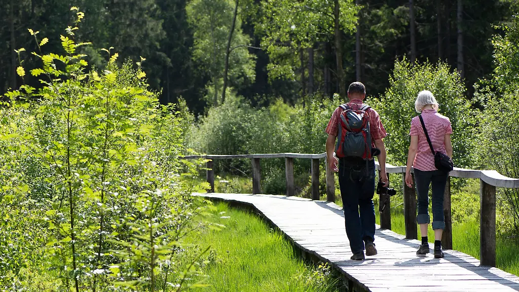 Wer-im-Solling-wandert-kann-dabei-kuenftig-Stempel-sammeln