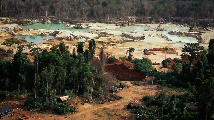 Nach Regierungsschätzungen gibt es etwa 4000 Goldminen auf dem Land von Einheimischen im Amazonasgebiet. Aktivisten rechnen mit einer höheren Zahl.