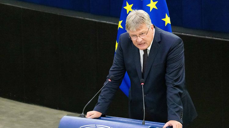 Jörg Meuthen bezeichnet die Anschuldigungen als "falsch und gegenstandslos".