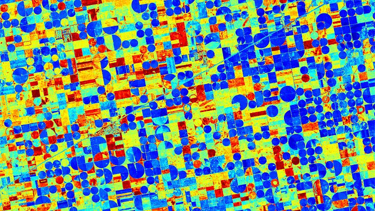 Diese Simulation von unterschiedlichen landwirtschaftlichen Flächen mit unterschiedlichem Wasserbedarf zeigt, wie zukünftige satellitengestützte Bilder aussehen werden.