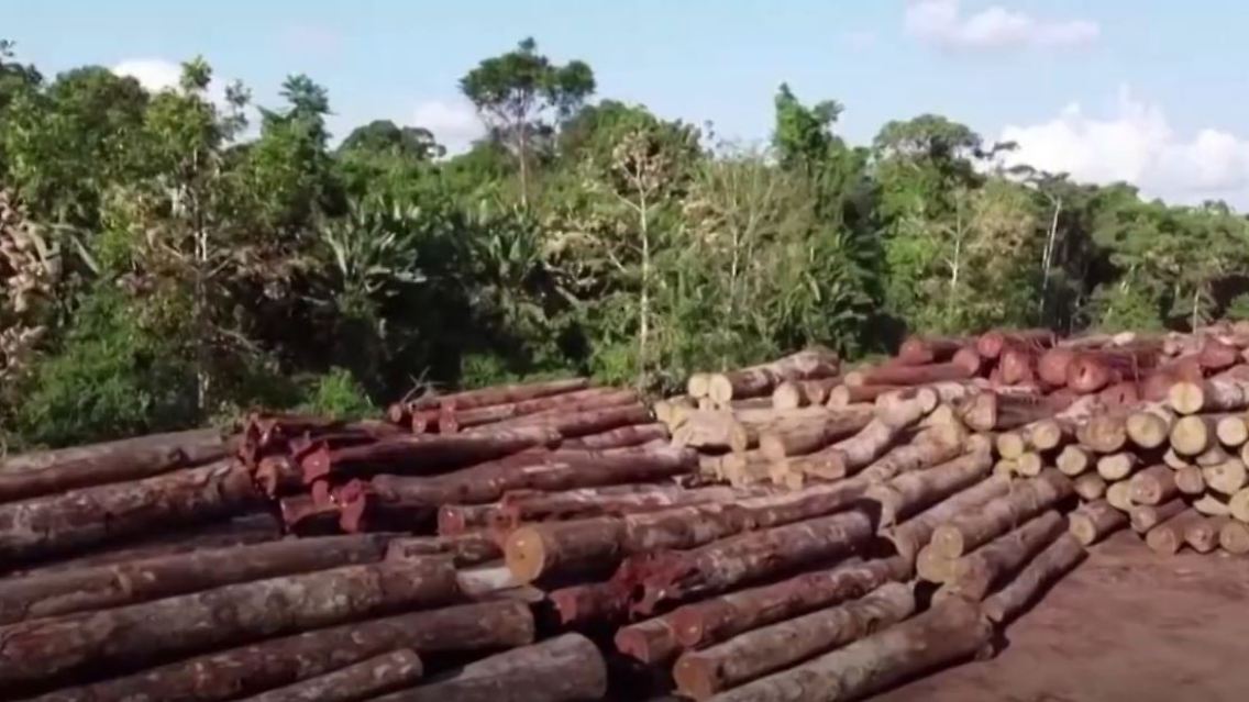amazonas.JPG