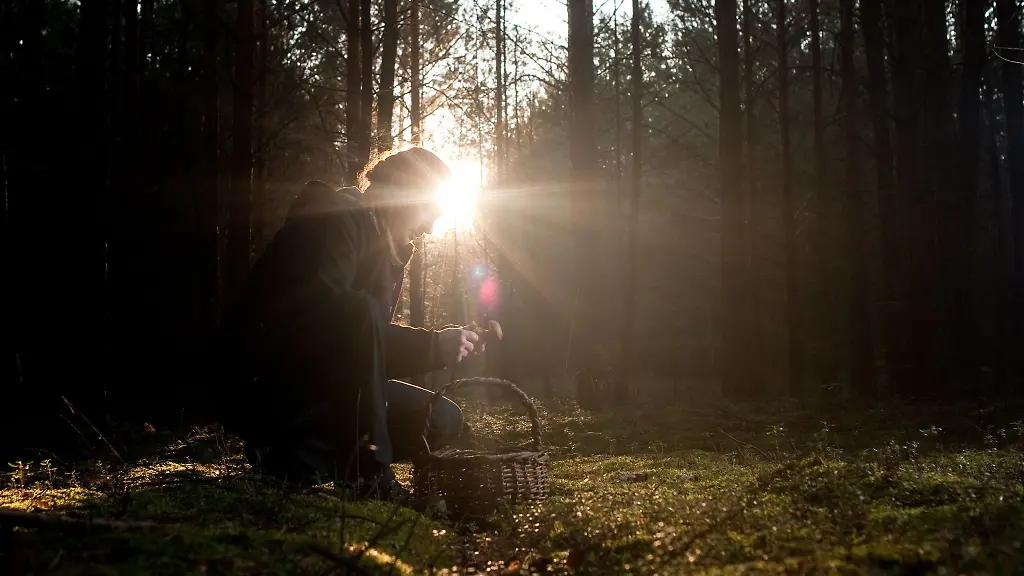 Die-Menge-macht-s-Ein-massvoller-Verzehr-von-Pilzen-ist-ueberall-in-Deutschland-unbedenklich