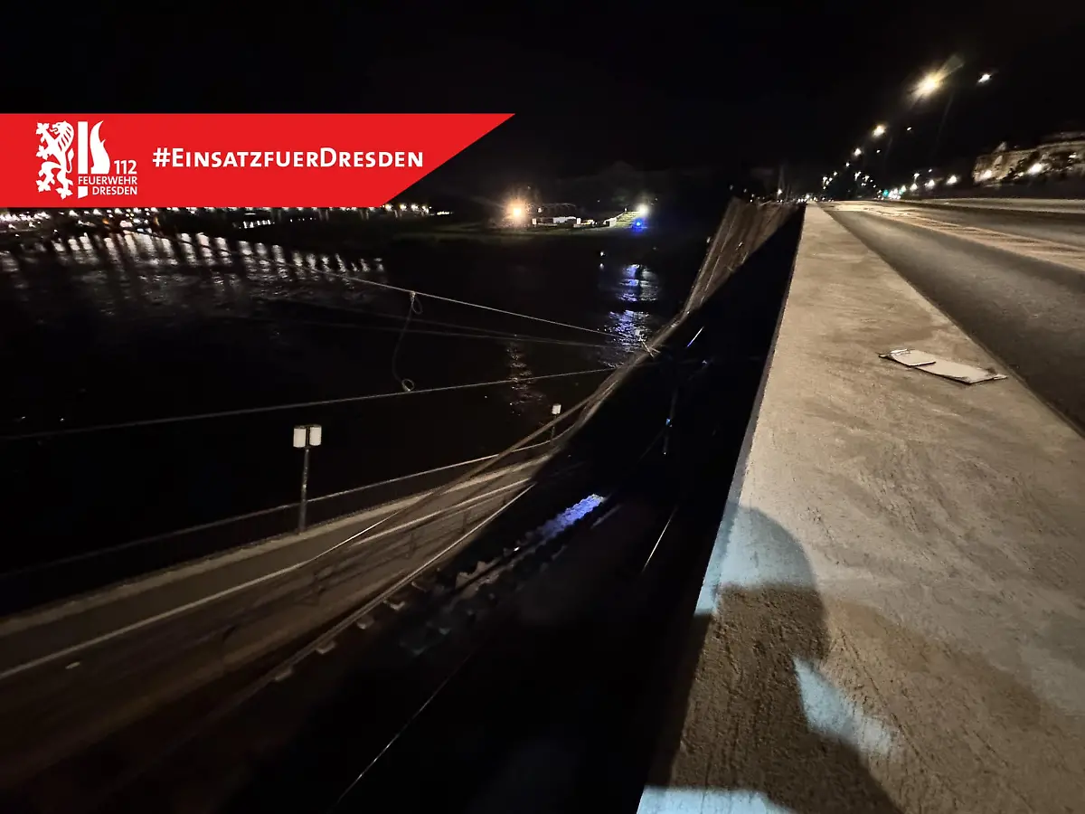 459095381-1313676806480357-8666948351320765904-n