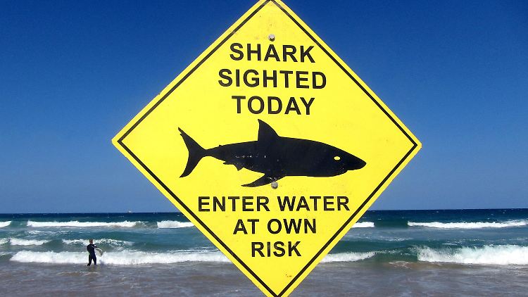 Ein Warnschild an einem Strand von Sydney (Archivbild).