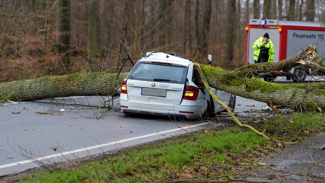 Das Auto des Opfers.