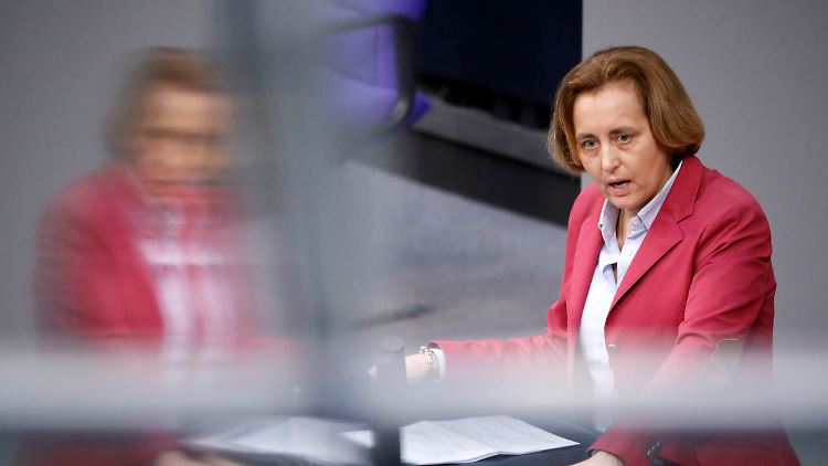 Beatrix von Storch warf der Mehrheit der Abgeordneten vor, einer "Genderideologie" anzuhängen.