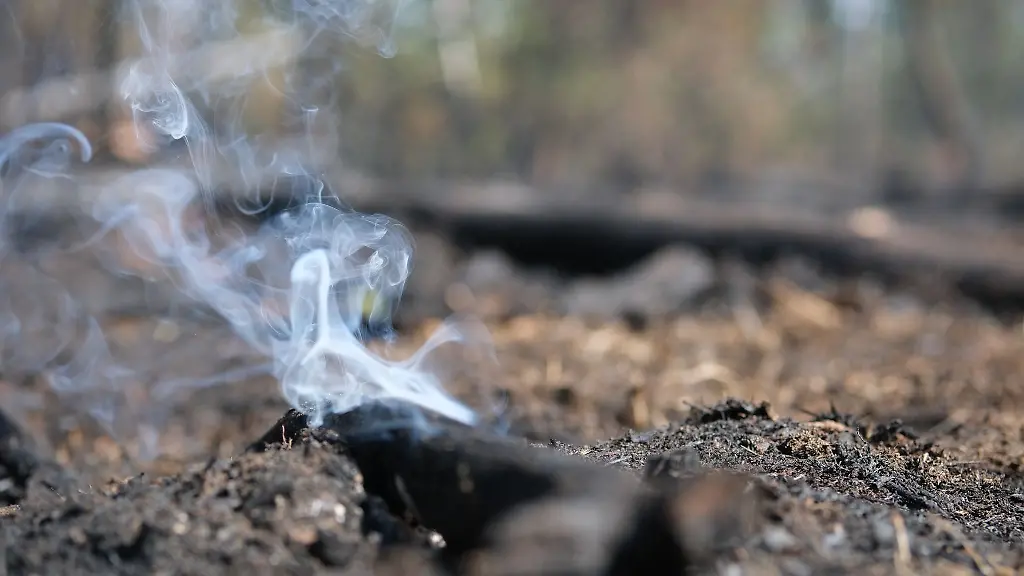 Das-Feuer-beim-grossen-Waldbrand-in-Oranienbaum-konnte-inzwischen-geloescht-werden