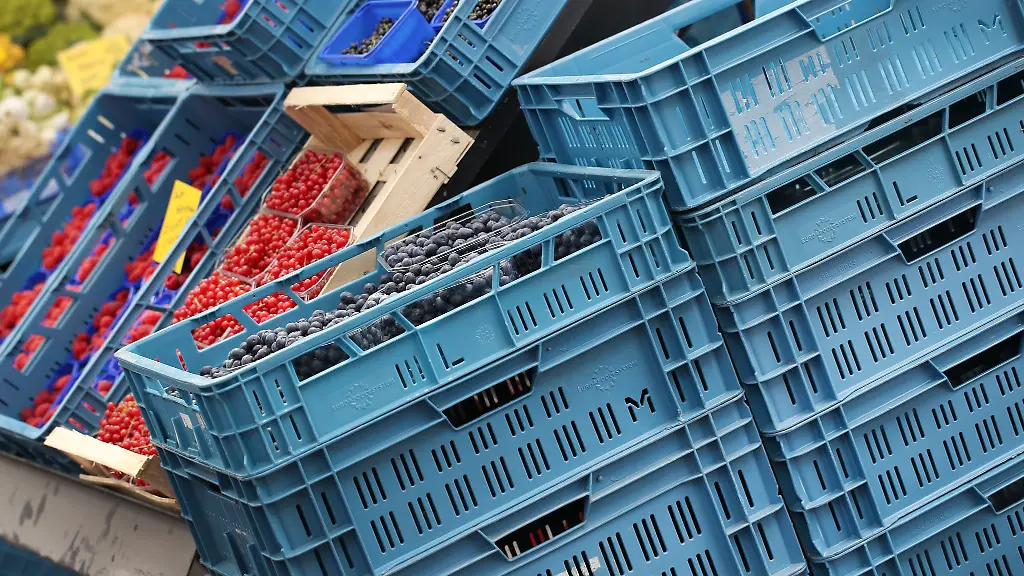 In-zwei-Geraer-Supermaerkten-wurden-Spinnen-in-Obstkisten-entdeckt