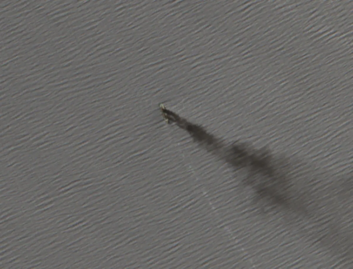 2024-09-09-00-00-2024-09-09-23-59-Sentinel-2-L2A-honc-adj