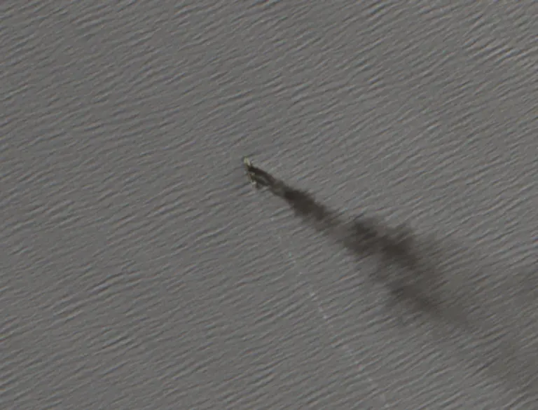 2024-09-09-00-00-2024-09-09-23-59-Sentinel-2-L2A-honc-adj