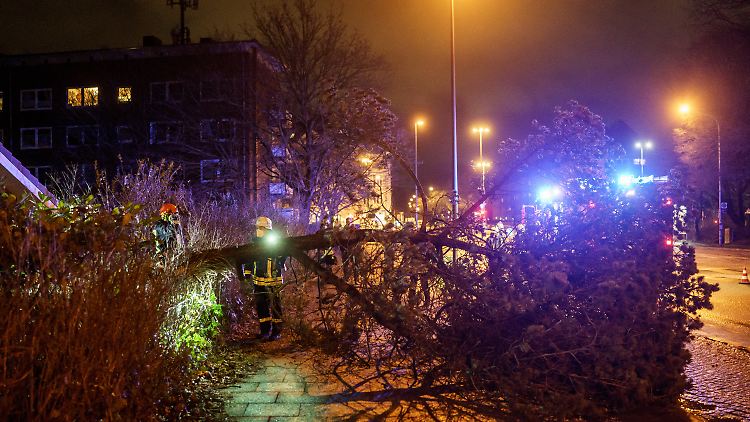 Einsatzkräfte der Freiwilligen Feuerwehr räumen in Kiel eine von umgeknickten Bäumen blockierte Straße.