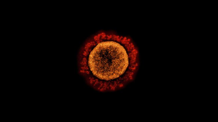 Um sich vor dem Coronavirus zu schützen, kommt man an einer Spritze bislang nicht vorbei. Das könnte sich jedoch bald ändern.