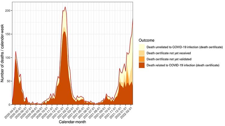 Die HDA-Grafik zeigt, dass ein Großteil der aktuell als Corona-Opfer geführten Toten aktuell mit und nicht wegen Covid-19 gestorben sind.