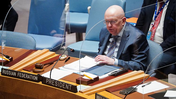 Für die Eskalation der Krise macht der russische US-Botschafter die Ukraine verantwortlich.