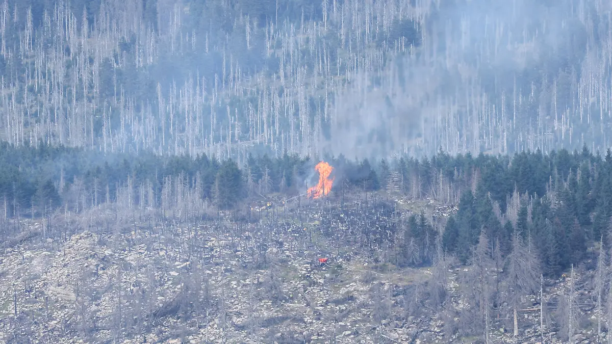 84333206c7830d8261480af5d429fbd3