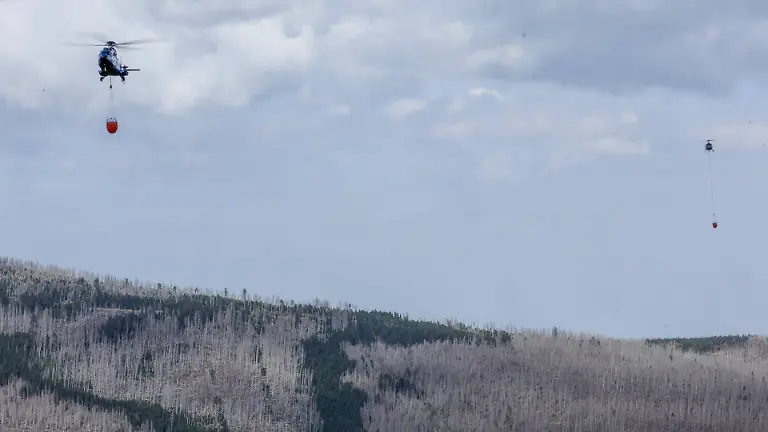 7e5fc78e7949ed468adeae0392524b20