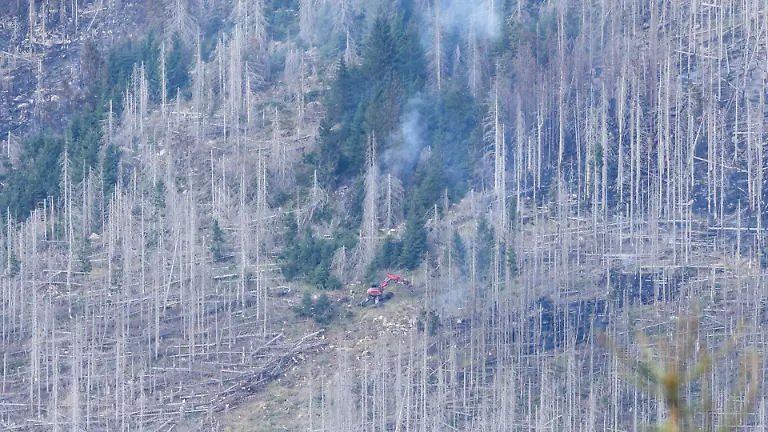 97c177651658ce5291b187dc236548ce