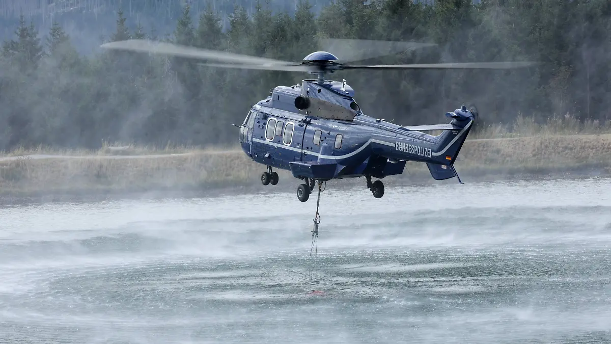 d177dfadf195f7272830f2f18af6cb53