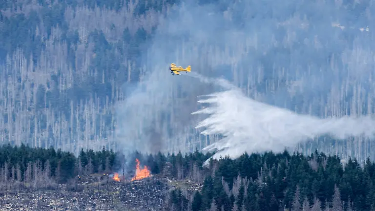 fbcd6ee0d630b0d48000cbe2e1f39af2