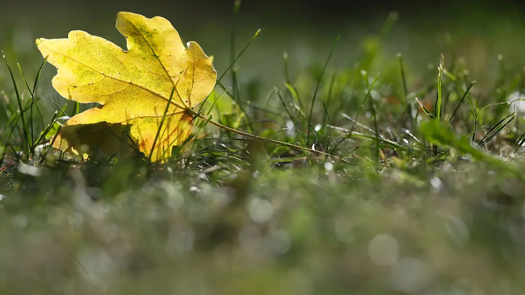 Zum-bevorstehenden-Schulstart-steht-ein-Wetterwechsel-bevor