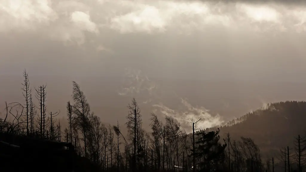 Waldbrand-Regen-rund-um-den-Brocken-laut-DWD-ab-Sonntagabend-erwartet