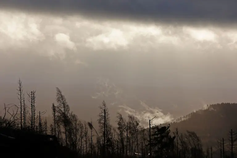 Waldbrand-Regen-rund-um-den-Brocken-laut-DWD-ab-Sonntagabend-erwartet