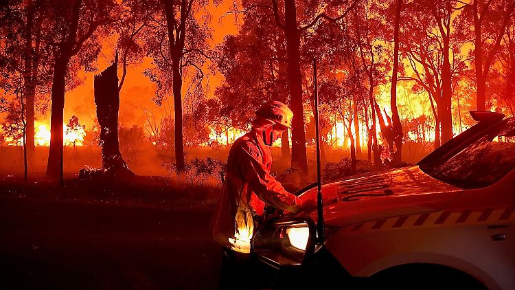 Laut eines UN-Berichts wird die Zahl der Waldbrände in den kommenden Jahren weiter zunehmen. 