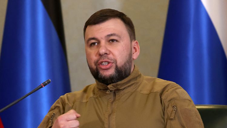 Denis Puschilin, Chef der selbst ernannten Volksrepublik Donezk, bittet Putin um Unterstützung. 