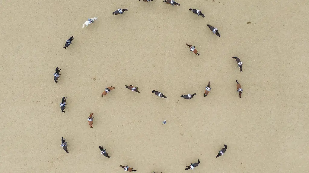 Begeistern-seit-100-Jahren-Zuechter-und-Pferdefans-die-Moritzburger-Hengstparaden