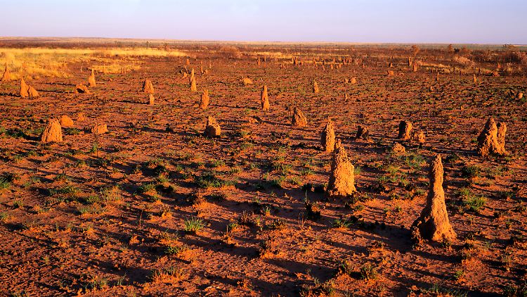 Termitenhügel und verbranntes Spinifex-Gras im Northern Territory: Große Teile Australiens sind so gut wie unbewohnbar.