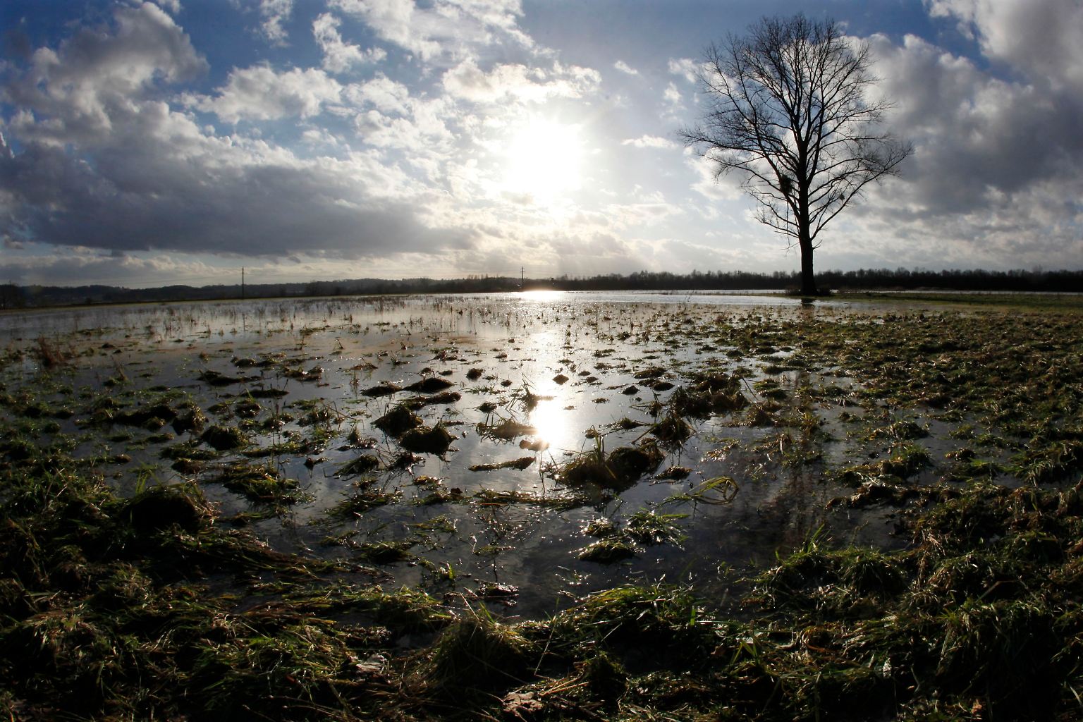 Weite Teile Deutschlands stehen unter Wasser.