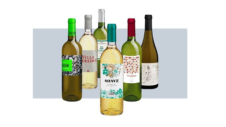 Im Delinat-Probierpaket stecken Weine aus nachhaltigem Anbau in Spanien, Italien, Frankreich und Rheinhessen.
