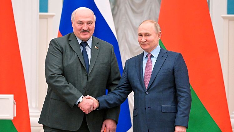 Gute Freunde: Der belarussische Machthaber Lukaschenko und Russlands Präsident Putin.