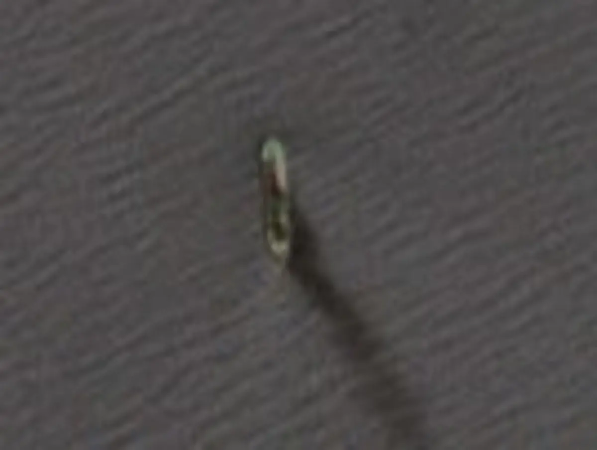 2024-09-05-2024-09-04-Sentinel-2-L2A-honc-zoom-adj