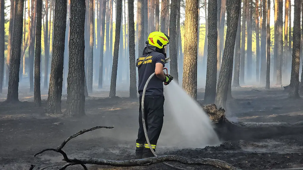 Die-Feuerwehr-hat-einen-Waldbrand-bei-Ruhlsdorf-unter-Kontrolle-gebracht