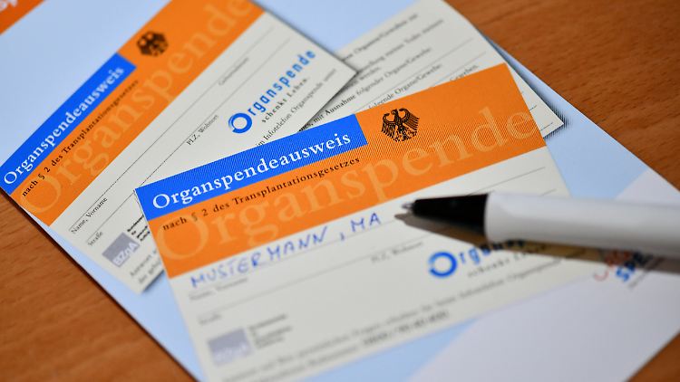Künftig sollen alle Bürgerinnen und Bürger mindestens alle zehn Jahre auf das Thema Organspende angesprochen werden.