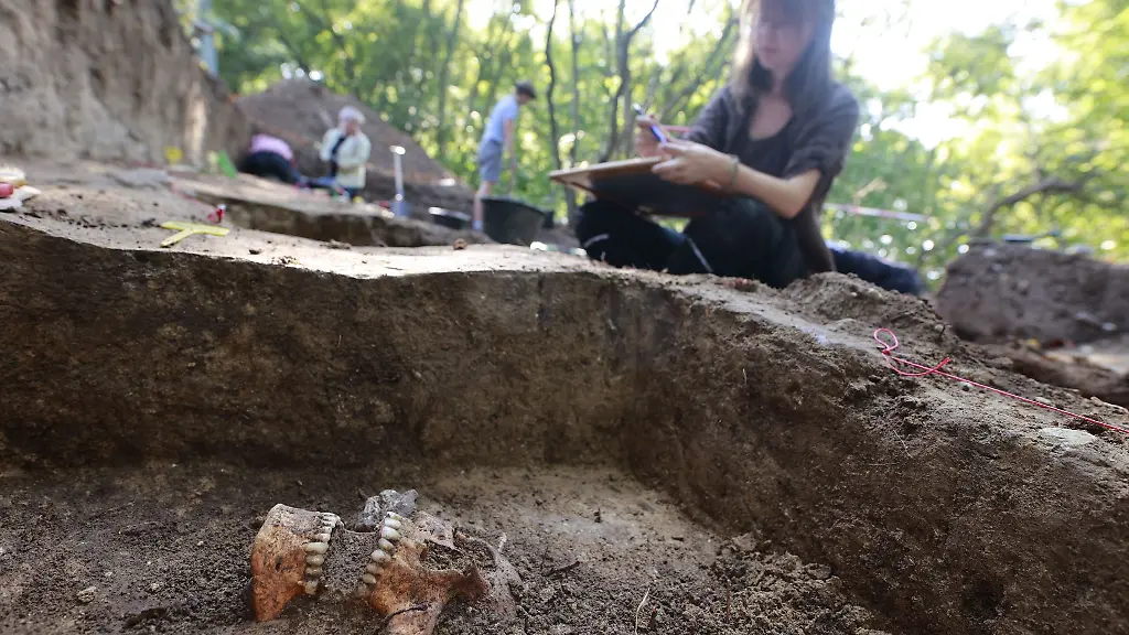 Im-Harz-sind-Archaeologinnen-und-Archaeologen-Hinrichtungen-auf-der-Spur