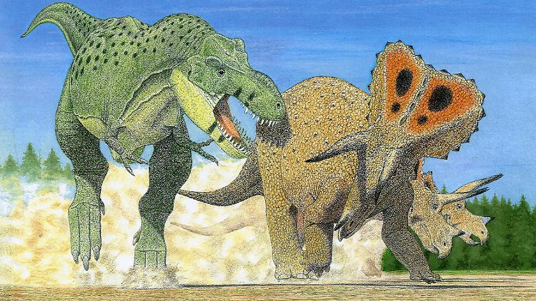 Ein Tyrannosaurus imperator (l.) greift eine Triceratops-horridus-Herde an. Den Forschern zufolge wäre T. imperator der Vorläufer der beiden anderen Arten.