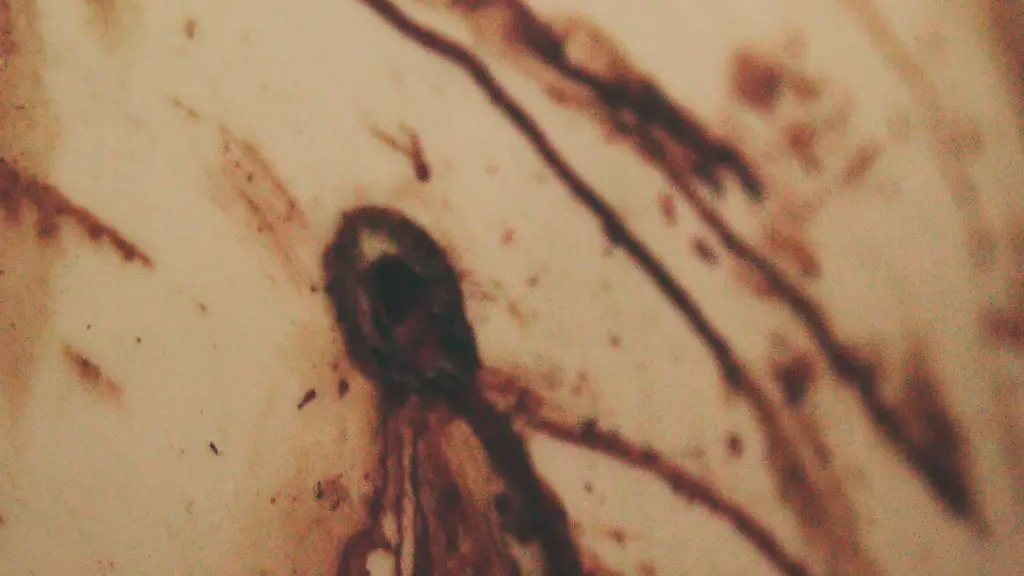 0f0e81f7044976e7c14ad25bccb6220f