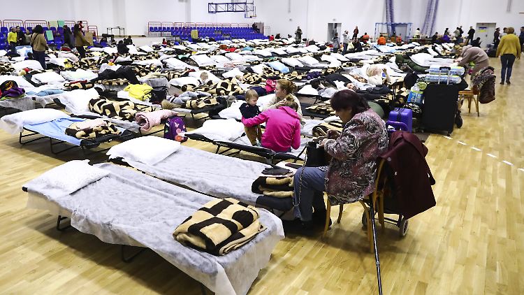 Nach Angaben des UNHCR sind inzwischen über 830.000 Menschen aus der Ukraine geflohen.